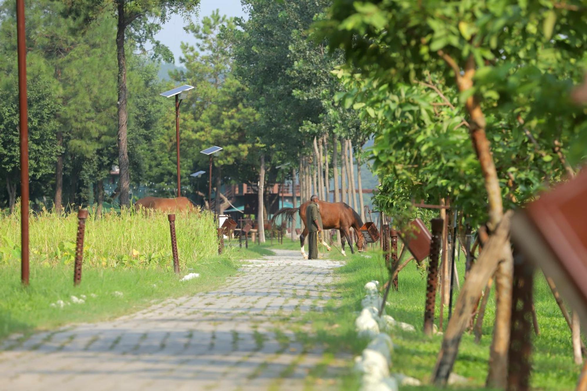 Riverside By Aahma Garjia Bagian luar foto